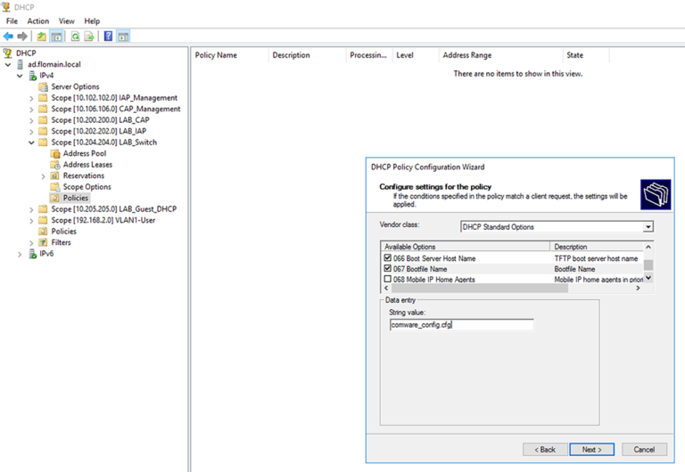 DHCP Vendor Class Identifier - DHCP Option 60 - Flomain Networking